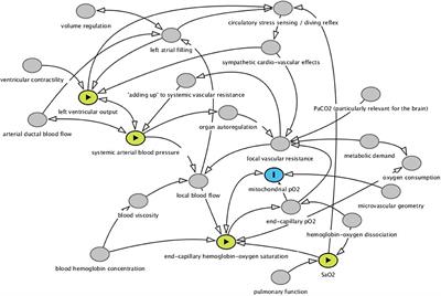 Cerebral Oximetry in Preterm Infants–To Use or Not to Use, That Is the Question